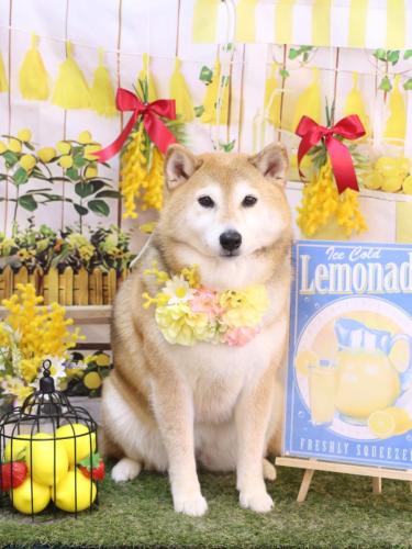 20240402こはるちゃん